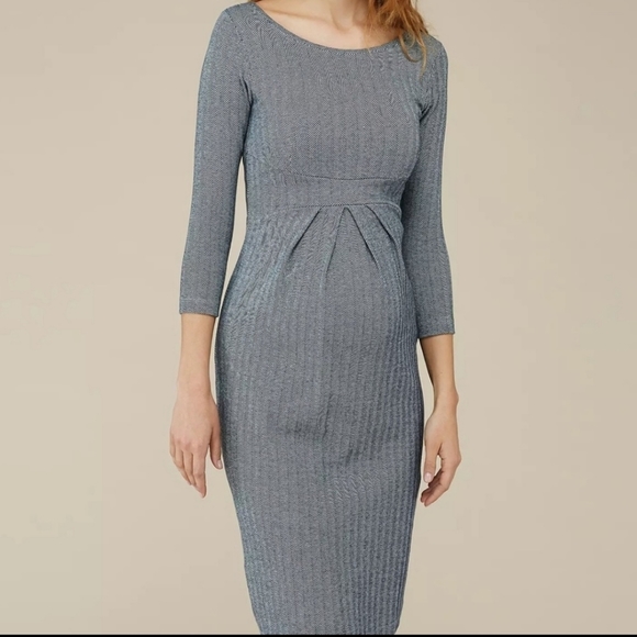 Isabella Oliver Dresses & Skirts - ISABELLA Oliver | Effra Pleat Herringbone Dress